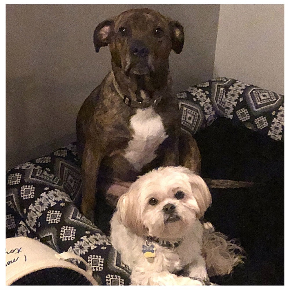 Meet your Posher, Celina